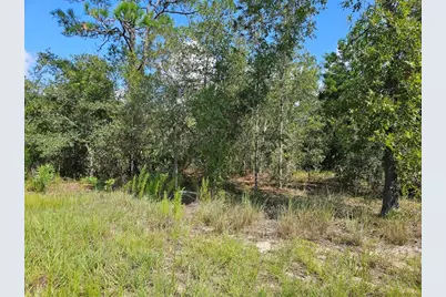 0000 NE 60th Street, Bronson, FL 32621 - Photo 8