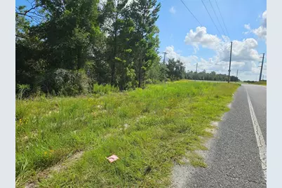 0000 NE 60th Street, Bronson, FL 32621 - Photo 6