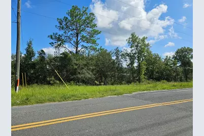 0000 NE 60th Street, Bronson, FL 32621 - Photo 2
