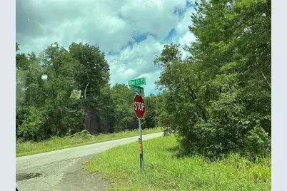 Lot 1 Bay Court Pass, Ocklawaha, FL 32179 - Photo 8