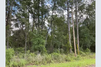 Lot 1 Bay Court Pass, Ocklawaha, FL 32179 - Photo 4