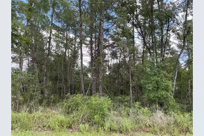 Lot 1 Bay Court Pass, Ocklawaha, FL 32179 - Photo 1