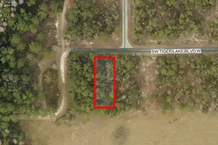 0 SW Tiger Lake Blvd, Dunnellon, FL 34432 - Photo 1