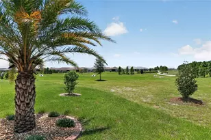 8971 SW 75th Loop, Ocala, FL 34481 - Photo 56