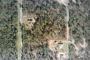 SW 123rd Terrace, Dunnellon, FL 34432 - Photo 1