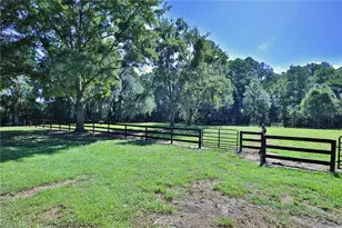 [Address not provided], Micanopy, FL 32667 - Photo 50