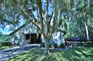 [Address not provided], Micanopy, FL 32667 - Photo 42