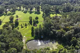 [Address not provided], Micanopy, FL 32667 - Photo 58