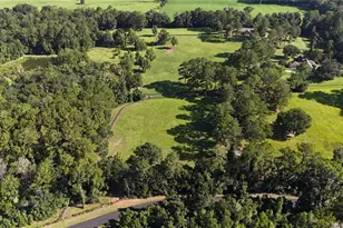 [Address not provided], Micanopy, FL 32667 - Photo 54