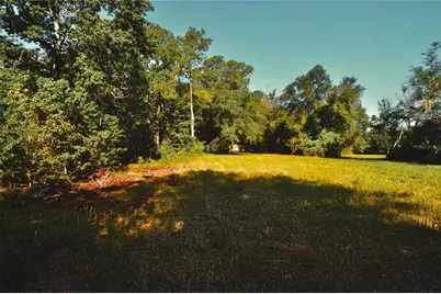 00 Hall Lake Road, Keystone Heights, FL 32656 - Photo 26