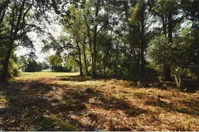 00 Hall Lake Road, Keystone Heights, FL 32656 - Photo 16