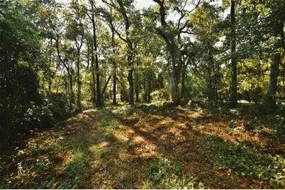 00 Hall Lake Road, Keystone Heights, FL 32656 - Photo 30