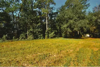 00 Hall Lake Road, Keystone Heights, FL 32656 - Photo 8