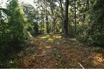 00 Hall Lake Road, Keystone Heights, FL 32656 - Photo 28