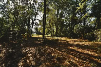 00 Hall Lake Road, Keystone Heights, FL 32656 - Photo 4