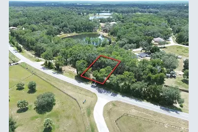 Tbd SE 180th Ave Road, Ocklawaha, FL 32179 - Photo 1