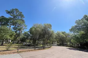 25333 NE 141st St, Fort Mc Coy, FL 32134 - Photo 34