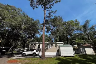 25333 NE 141st St, Fort Mc Coy, FL 32134 - Photo 8