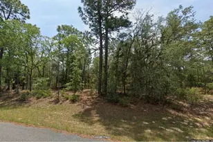 11345 N Kenney Loop, Citrus Springs, FL 34433 - Photo 1