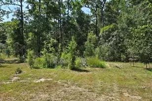 720 S Fairlane Terrace, Lecanto, FL 34461 - Photo 6