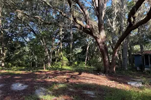 13799 NE 47th Ave, Anthony, FL 32617 - Photo 8