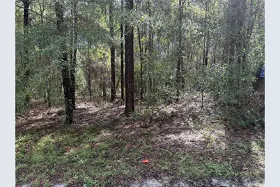 10049 N Biscayne Drive, Citrus Springs, FL 34434 - Photo 2