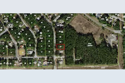 10049 N Biscayne Drive, Dunnellon, FL 34434 - Photo 4
