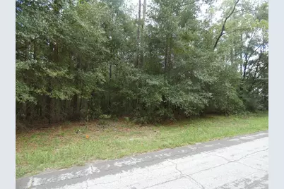 10061 N Biscayne Drive, Dunnellon, FL 34434 - Photo 6