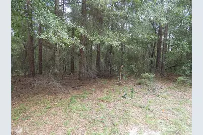 10075 N Biscayne Drive, Citrus Springs, FL 34434 - Photo 2