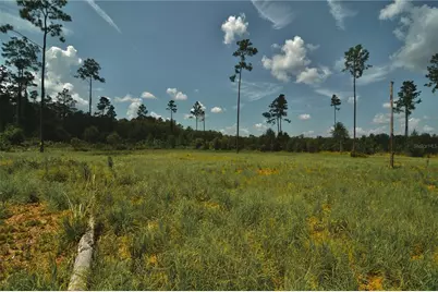 00 99th Lane, Live Oak, FL 32060 - Photo 6