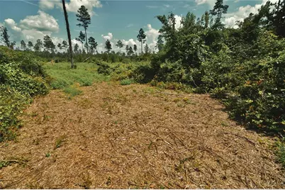 00 99th Lane, Live Oak, FL 32060 - Photo 14