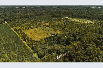 00 99th Lane, Live Oak, FL 32060 - Photo 46