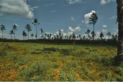 00 99th Lane, Live Oak, FL 32060 - Photo 38