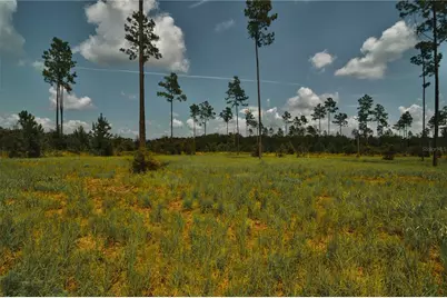 00 99th Lane, Live Oak, FL 32060 - Photo 24
