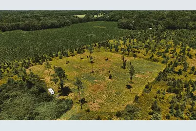 00 99th Lane, Live Oak, FL 32060 - Photo 4