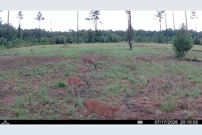 00 99th Lane, Live Oak, FL 32060 - Photo 12