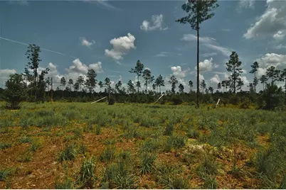 00 99th Lane, Live Oak, FL 32060 - Photo 42
