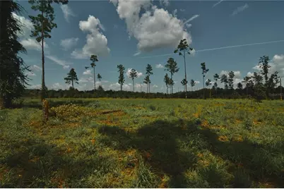 00 99th Lane, Live Oak, FL 32060 - Photo 40