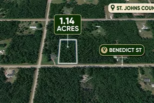 4260 Benedict St, Hastings, FL 32145 - Photo 1