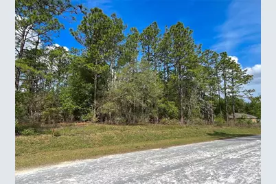 0 SW 140th Court, Ocala, FL 34481 - Photo 4
