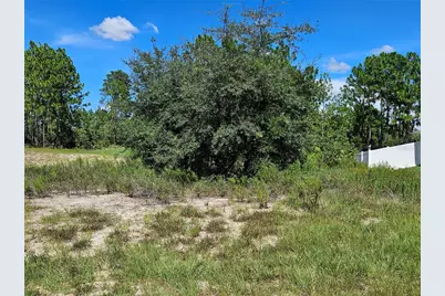Tbd SW 85th Terrace, Ocala, FL 34473 - Photo 2