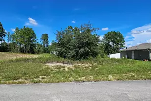 Tbd SW 85th Terrace, Ocala, FL 34473 - Photo 1