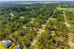 831 NE 150 Ave, Williston, FL 32696 - Photo 38