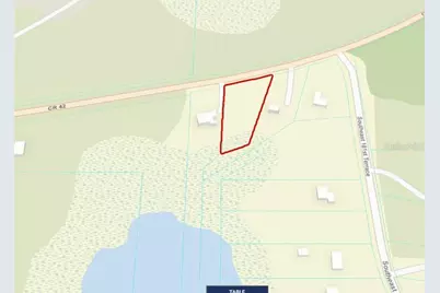 Se Hwy 42, Weirsdale, FL 32195 - Photo 6