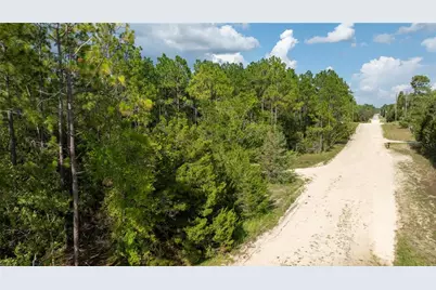 00 NE 49th Street, Williston, FL 32696 - Photo 16