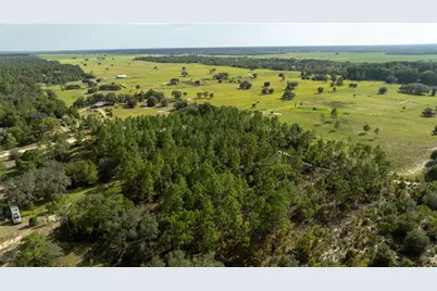 00 NE 49th Street, Williston, FL 32696 - Photo 10