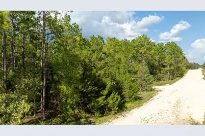 00 NE 49th Street, Williston, FL 32696 - Photo 4