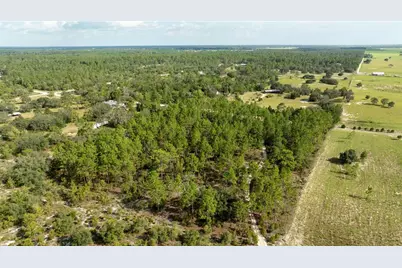 00 NE 49th Street, Williston, FL 32696 - Photo 12
