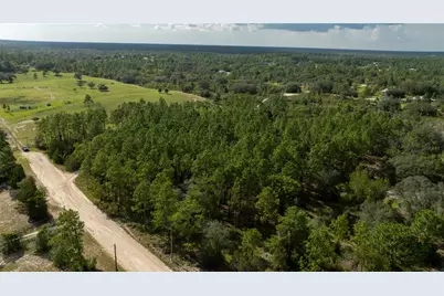 00 NE 49th Street, Williston, FL 32696 - Photo 6