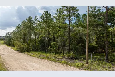 00 NE 49th Street, Williston, FL 32696 - Photo 1
